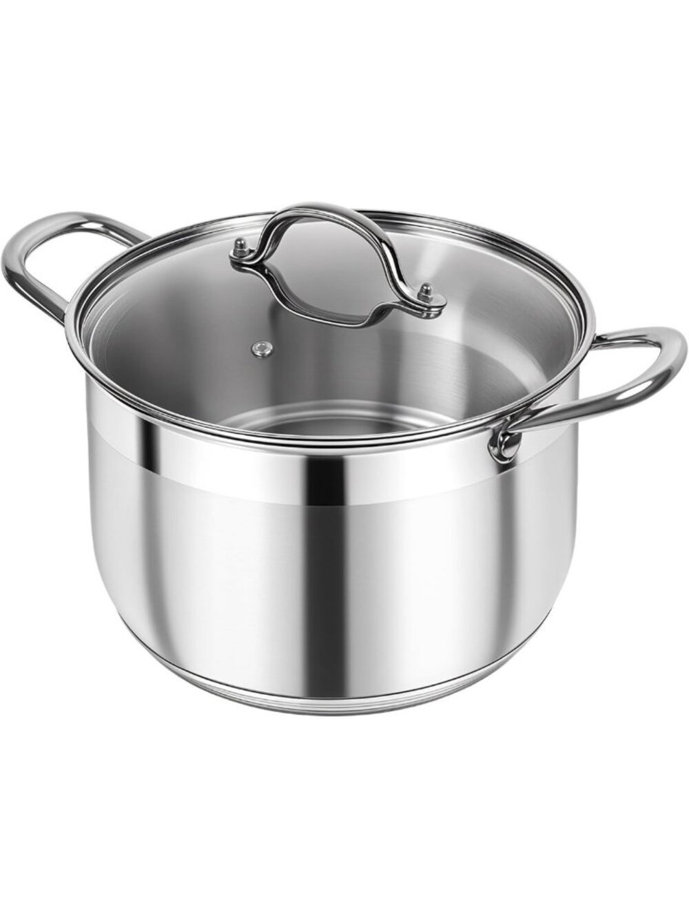 Heavy Duty 12 Quart Stainless Steel Stock Pot with Clear Lid for Cooking